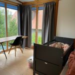 Miete 4 Schlafzimmer wohnung von 140 m² in Nürnberg
