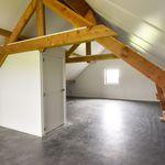 Huur 3 slaapkamer huis van 244 m² in Beveren