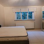 Rent 4 bedroom house in Braine-le-Comte