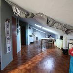 Rent 2 bedroom apartment of 65 m² in San Mauro Torinese