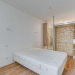 Appartement de 46 m² avec 3 chambre(s) en location à Castres