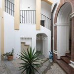 Rent 2 bedroom apartment of 56 m² in Palermo