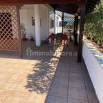 Rent 3 bedroom house of 75 m² in Carovigno