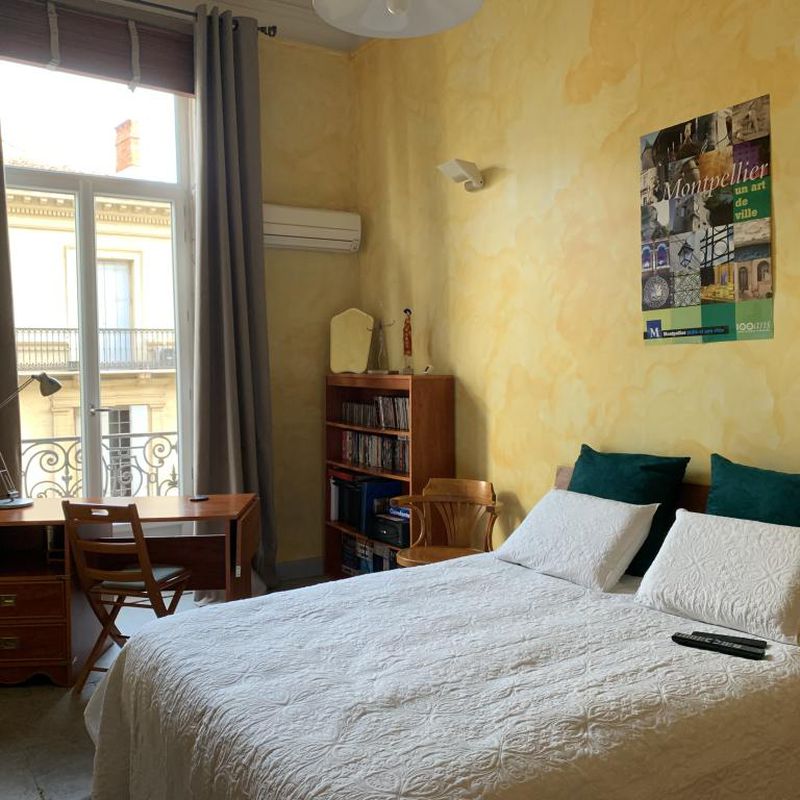 Location appartement entre particulier Montpellier, chambre de 20m² Castelnau-le-Lez