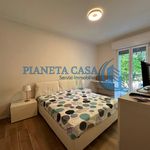 Rent 1 bedroom apartment of 55 m² in Milan