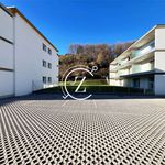 Rent 1 bedroom apartment of 60 m² in Lavizzara
