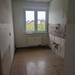 Rent 4 bedroom apartment of 71 m² in Mücheln