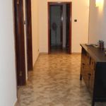 Affitto 5 camera appartamento di 145 m² in Ferrara