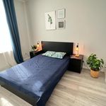 Rent 2 bedroom apartment in Lubin
