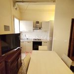Rent 5 bedroom apartment of 200 m² in Pisa