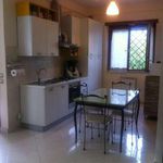 Rent 3 bedroom house of 84 m² in Roma