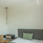 Rent 2 bedroom apartment of 51 m² in SZCZECIN