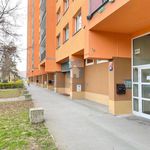 Rent 2 bedroom apartment of 4329 m² in Prague