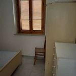 Rent 3 bedroom apartment of 60 m² in Sellia Marina