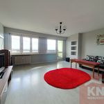 Wynajmij 3 sypialnię apartament z 60 m² w Bełchatów