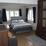 Rent a room in Donabate