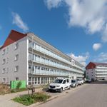 Rent 2 bedroom apartment of 66 m² in Schkeuditz