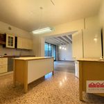 Affitto 3 camera casa di 300 m² in Isola Vicentina