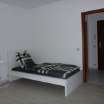 Rent 1 bedroom apartment of 22 m² in Worms