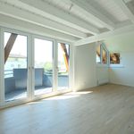 Rent 3 bedroom apartment of 87 m² in Aarburg