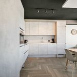 Rent 5 bedroom apartment of 215 m² in Terneuzen