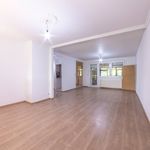 Rent 1 bedroom apartment of 2749 m² in Brno