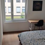 Appartement de 43 m² avec 1 chambre(s) en location à Strasbourg