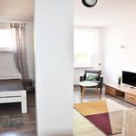 Rent 2 bedroom apartment of 35 m² in Elbląg