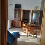 Rent 3 bedroom apartment of 65 m² in Caronia
