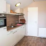 Rent 3 bedroom house in Hoogeveen