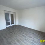 Rent 3 bedroom apartment of 58 m² in Brno
