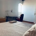 Rent 12 bedroom house in Seville