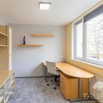 Rent 3 bedroom apartment of 62 m² in Plzeň