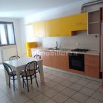 Rent 4 bedroom apartment of 100 m² in Appignano