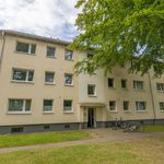 Rent 3 bedroom apartment of 63 m² in Flensburg