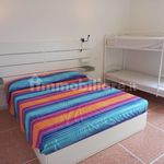 Rent 3 bedroom apartment of 75 m² in Pisa