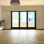 Rent 4 bedroom apartment of 95 m² in Cureglia