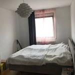 Rent 1 bedroom apartment of 57 m² in Wien