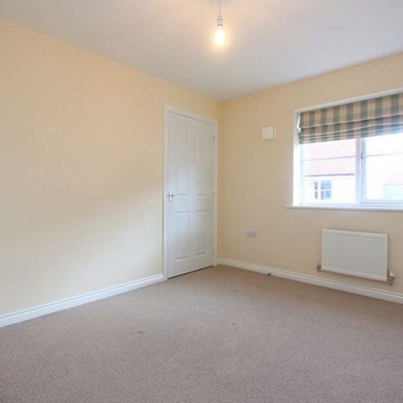 Property to rent in Wheat Field Lane, Cranbrook, Exeter EX5 Westwood