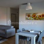 Rent 2 bedroom apartment of 100 m² in Bologna