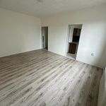 Rent 1 bedroom apartment of 53 m² in Klasterec nad Ohri