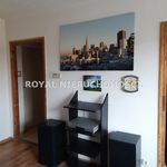 Rent 1 bedroom apartment of 24 m² in Zabrze