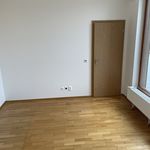Rent 1 bedroom apartment of 140 m² in Prague