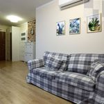 Rent 2 bedroom apartment of 40 m² in Jeżów