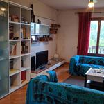 Appartamento PLURILOCALE in affitto a	Montespertoli (Fi)