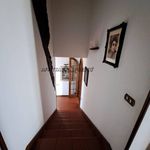 Affitto 5 camera casa di 280 m² in Bertinoro