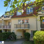 Rent Apartment of 47 m² in Dresden