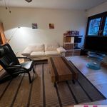 Rent 2 bedroom apartment of 65 m² in Nuremberg