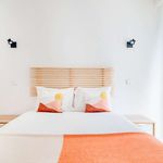 Rent 1 bedroom apartment in Lisboa