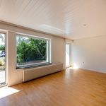 Rent 3 bedroom apartment of 87 m² in Groß-Zimmern